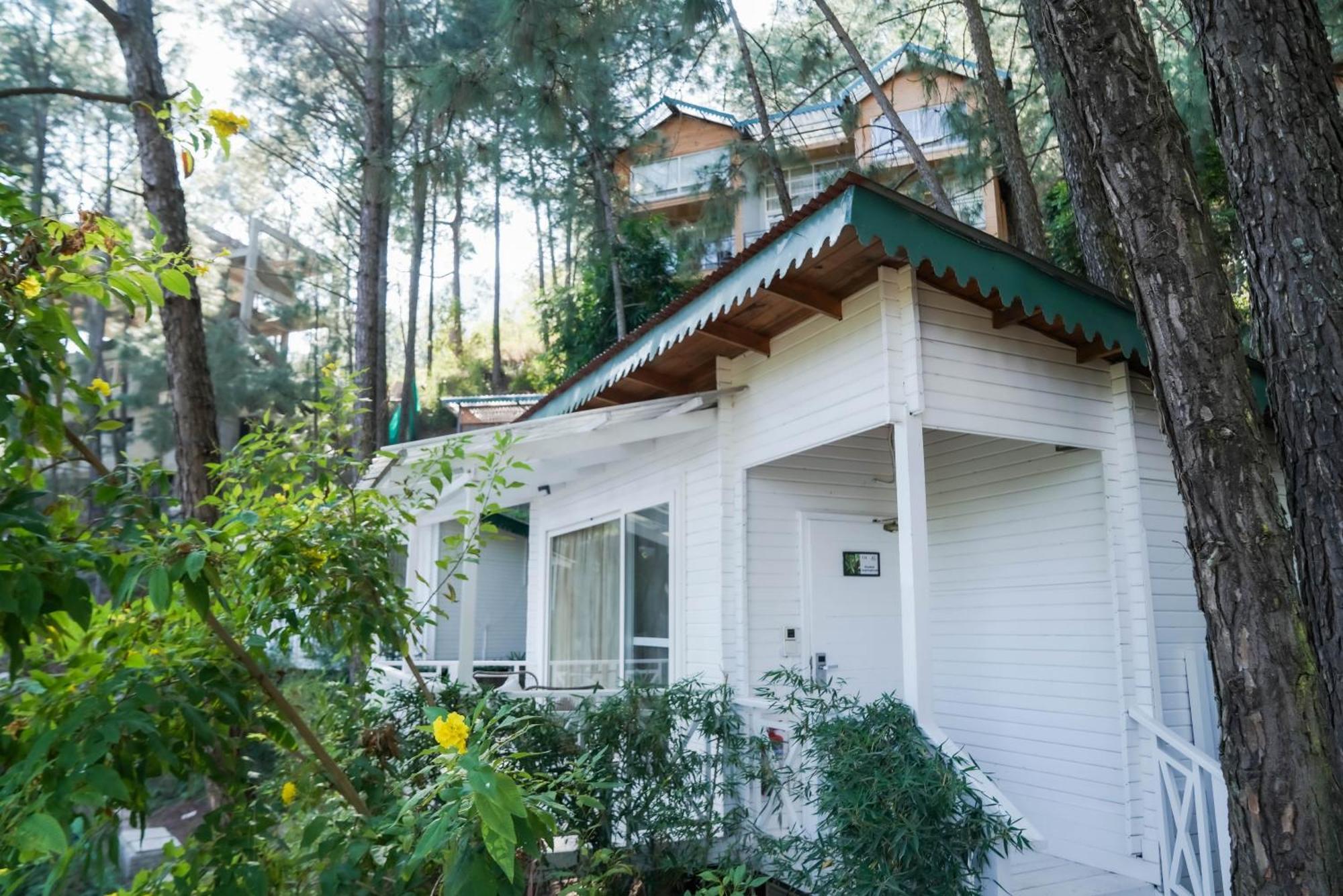 Kasauli Hills Resort Exterior foto